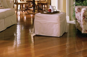 Wood flooring on living room