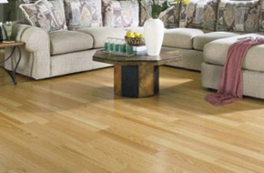 Light wood flooring in living room
